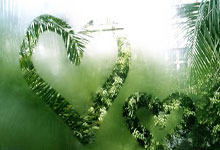 开云平台-法网绝杀联合杯，兹维列夫刷新纪录