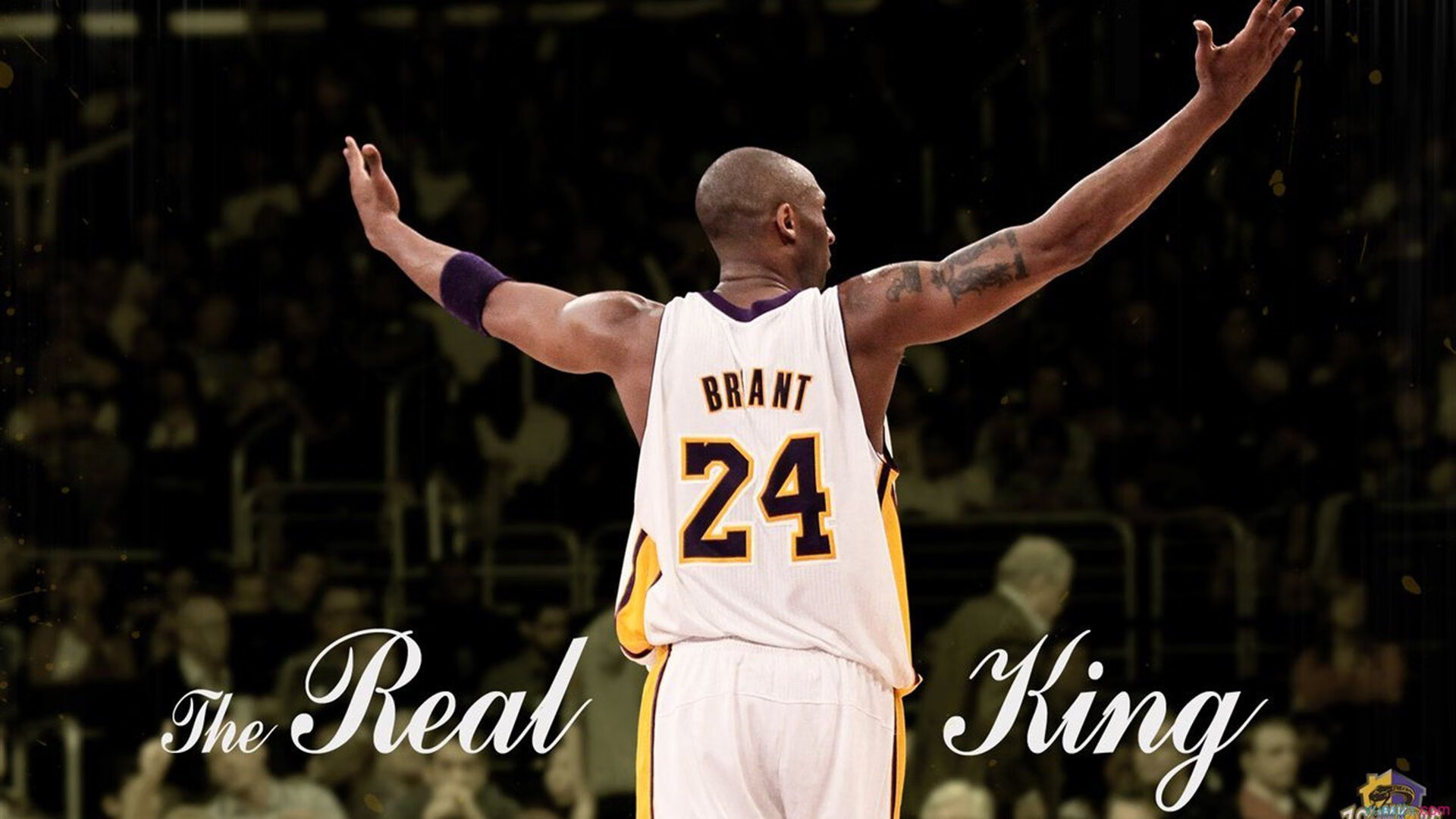 赛道与雪原，当F1年度争冠焦点战遇上瑞典完胜土耳其的体育隐喻