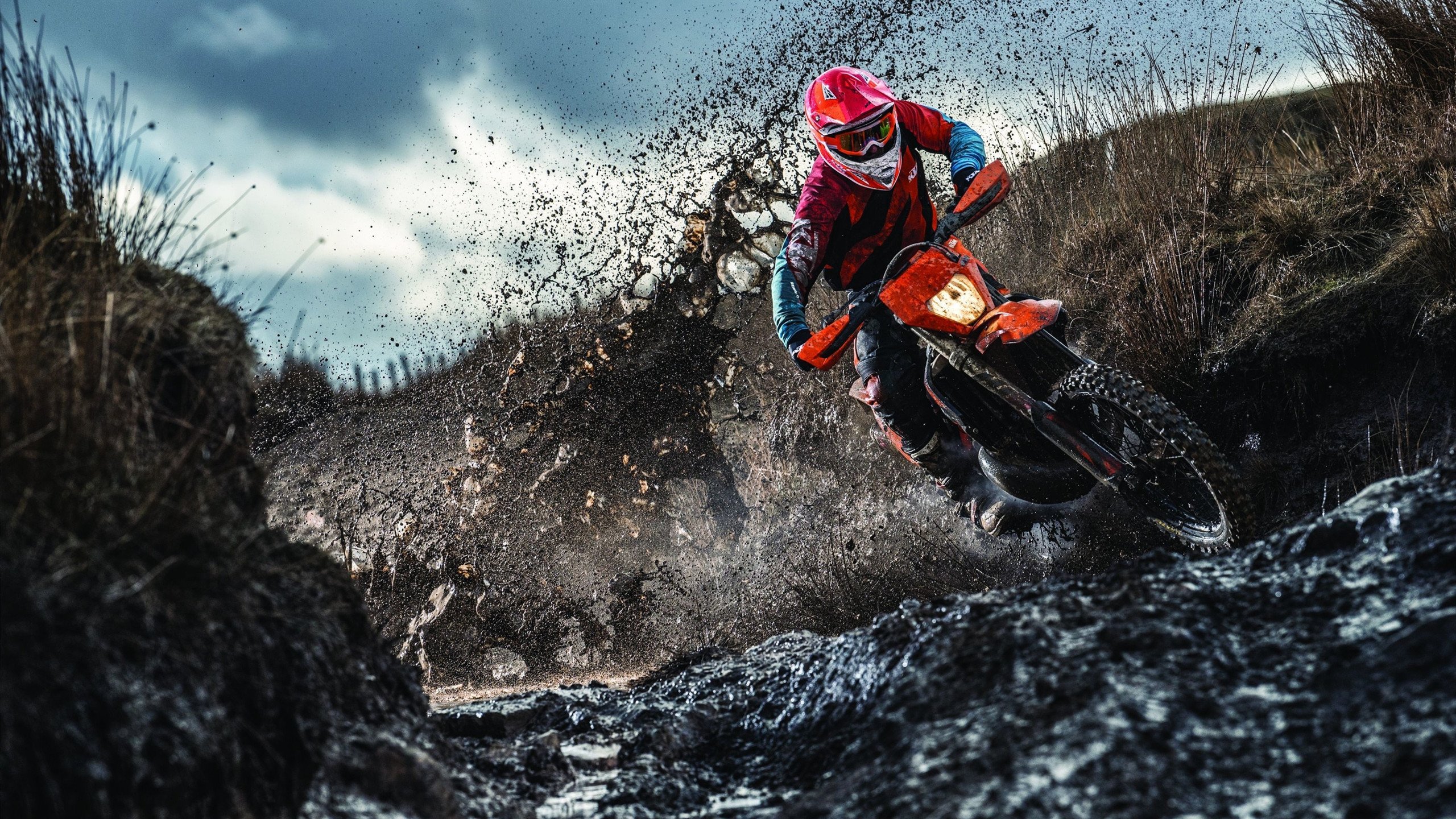 武切维奇统治攻防两端，雄鹿战术执行力完胜辽宁取关键胜利